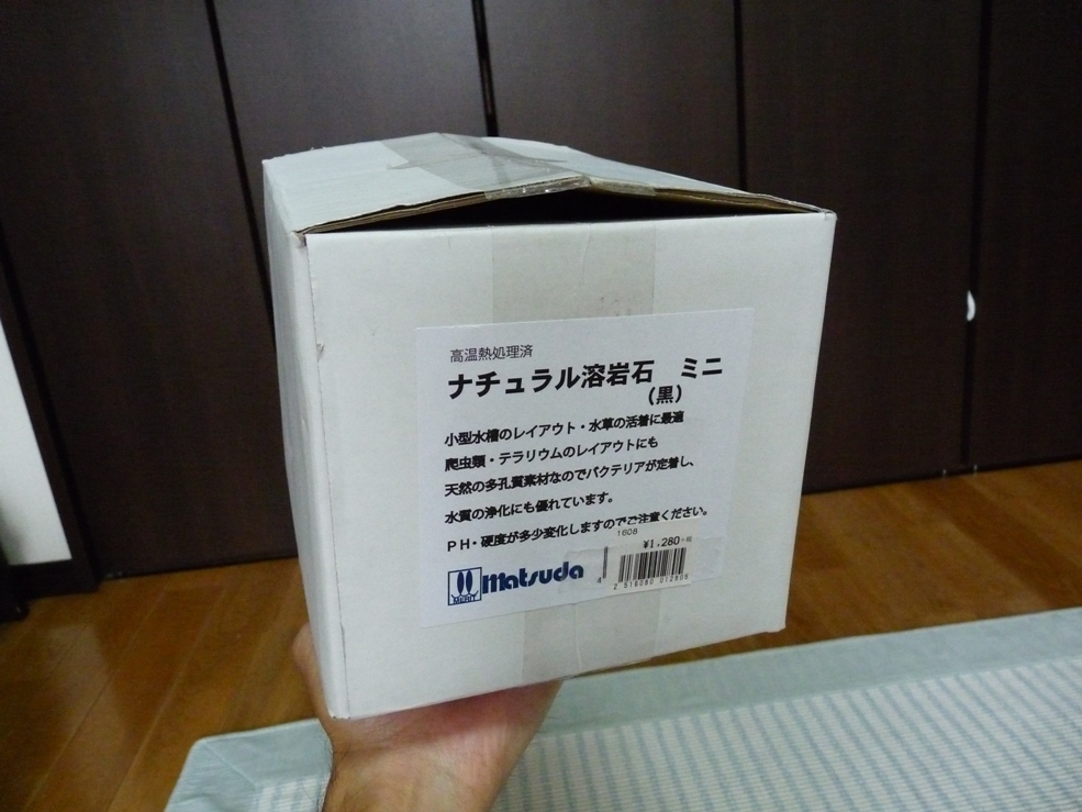 本格！池型メダカビオトープの作り方！！_f0334982_21224502.jpg