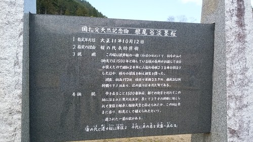 d0263787_20432871.jpg