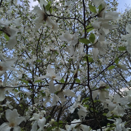 f0314690_19581677.jpeg