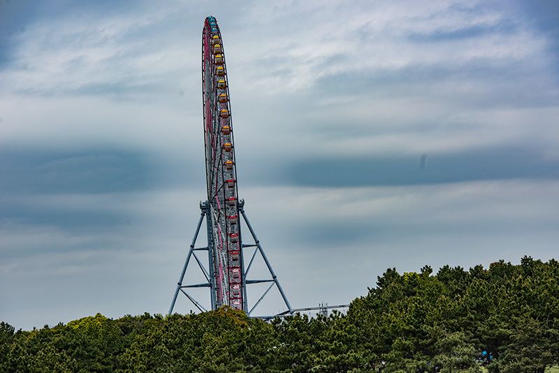 記憶の残像 2016年　葛西臨海公園_f0215695_20063969.jpg