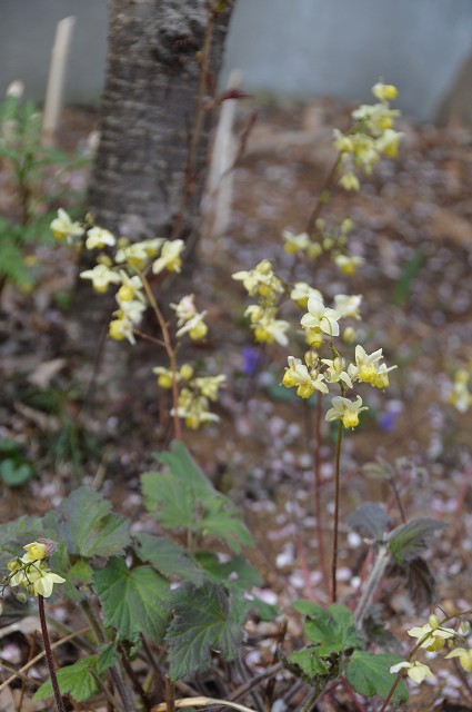 c0124100_013346.jpg