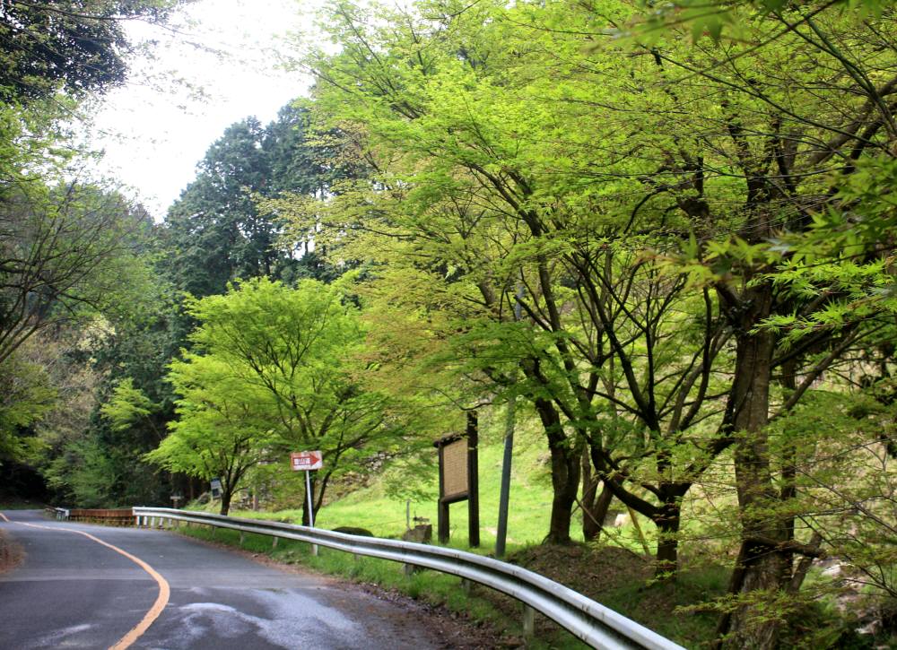 大城山(四王寺山)の登山ルート確認④_f0212511_05180.jpg