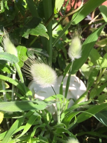 d0078312_17471887.jpeg