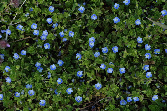d0150720_1204392.jpg