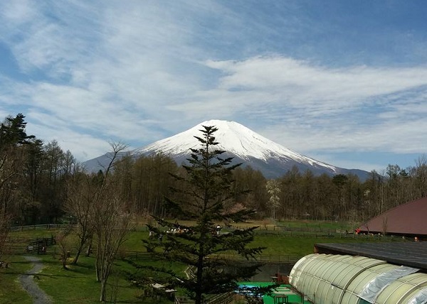 e0190220_8131448.jpg