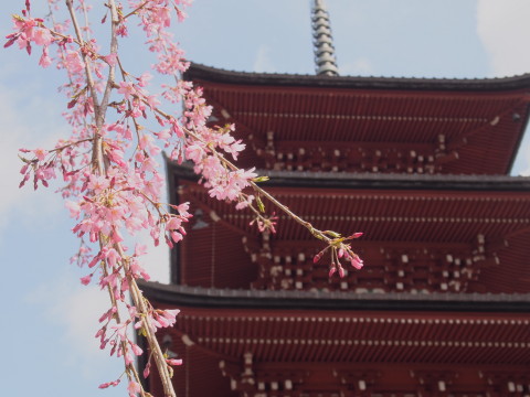 b0147224_19301751.jpg