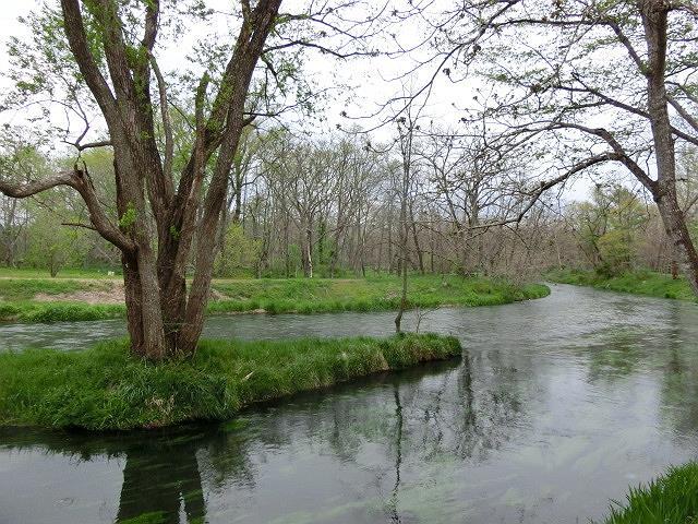 e0234924_05440338.jpg