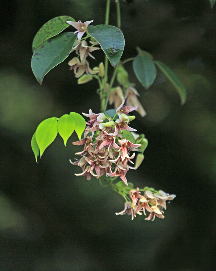 c0104227_2243391.jpg