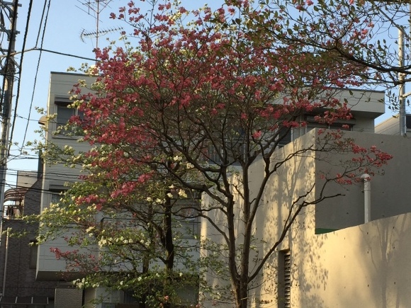 b0164428_10175610.jpeg