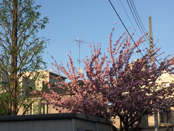 b0164428_10181857.jpeg