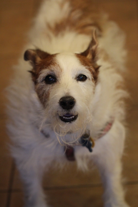 c0327528_13141250.jpeg
