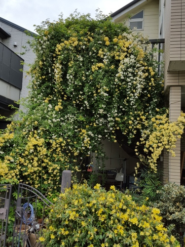 幽霊になって行ってみたい街 佐々木譲「砂の街路図」_e0016828_09532273.jpg