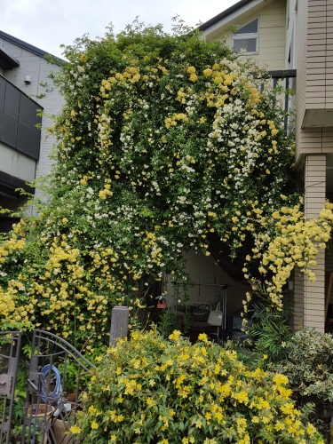 幽霊になって行ってみたい街　佐々木譲「砂の街路図」_e0016828_09532273.jpg