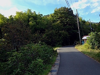 六甲山と瀬織津姫 ⑦ 真名井御前は日下部氏の姫_a0300530_04234384.jpg