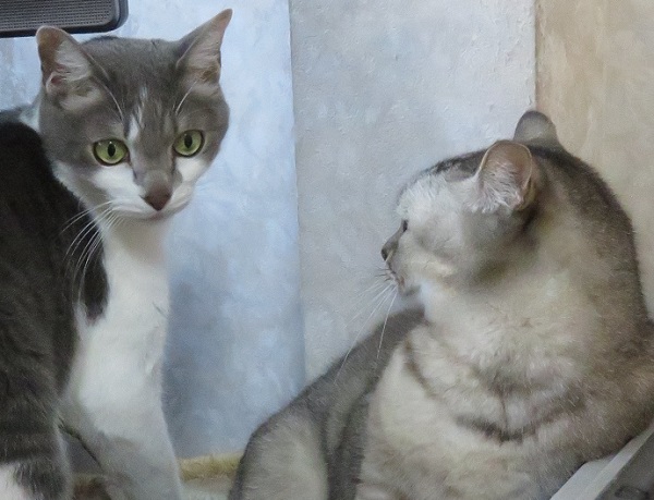 419(飼育)の日_f0002743_21591326.jpg
