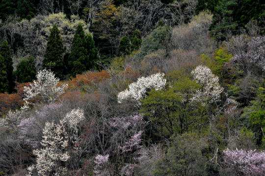 c0093046_19121940.gif