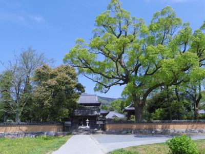 久留米へ_b0220251_21235135.jpg