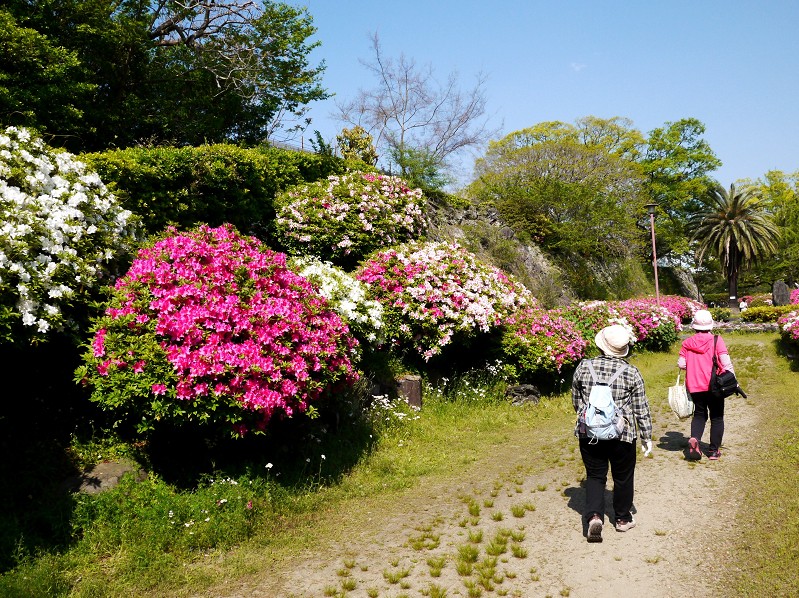 和歌山城つつじ園にて_b0093754_21301882.jpg