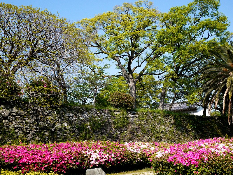 和歌山城つつじ園にて_b0093754_21315011.jpg