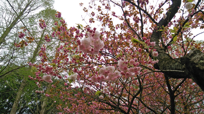 b0045357_12565517.jpg