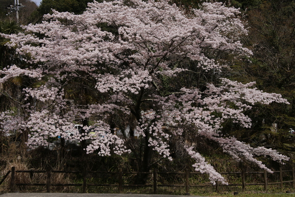 b0242358_23027.jpg