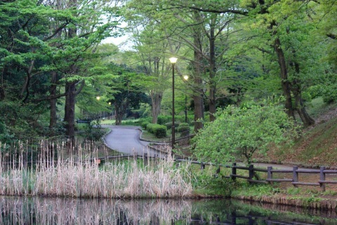 a0248459_16060008.jpg