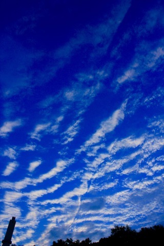 a0248459_16063696.jpg