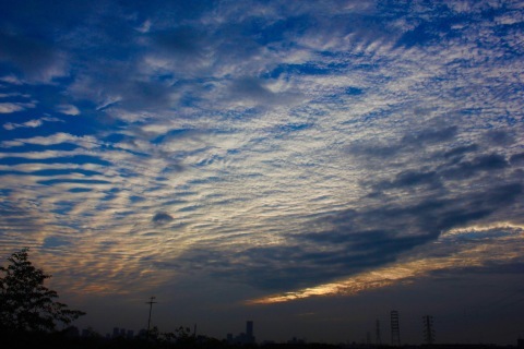 a0248459_16080042.jpg
