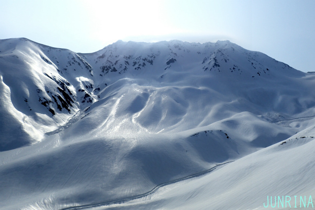 d0110562_01303650.jpg