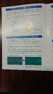 f0256164_1117762.jpg