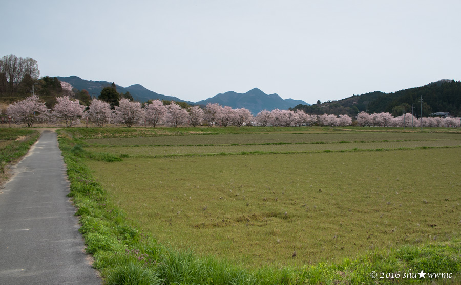 a0142976_16302977.jpg