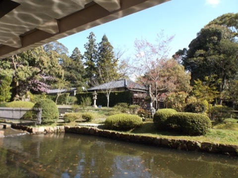 d0115985_15155700.jpeg