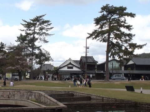 d0115985_15163411.jpeg