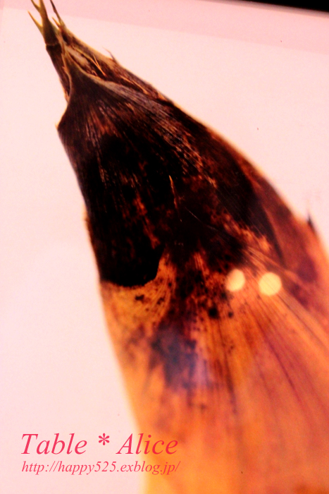 f0306287_2121988.jpg