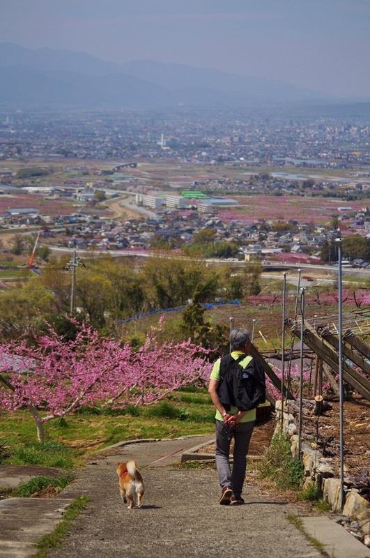 懐しい道_a0126590_22060099.jpg