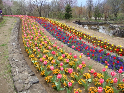c0322794_054246.jpg
