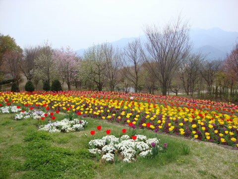 c0322794_055427.jpg