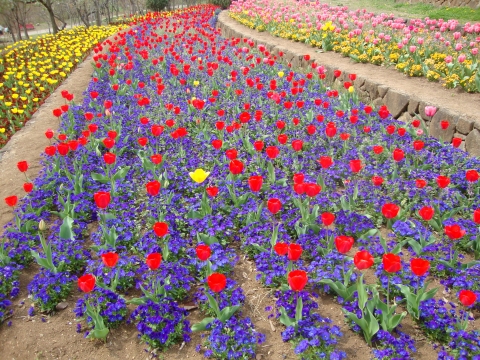c0322794_063436.jpg