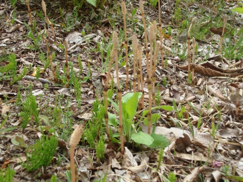c0322794_065067.jpg