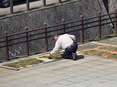 今日は多面的機能支払事業の検査でした_c0336902_1595449.jpg