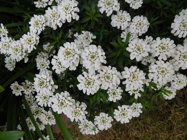 f0297809_1192326.jpg