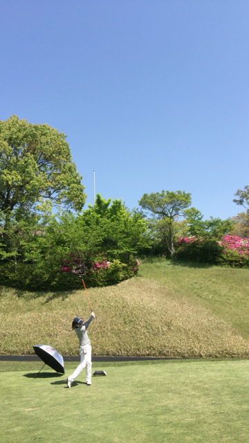 f0085810_15414022.png