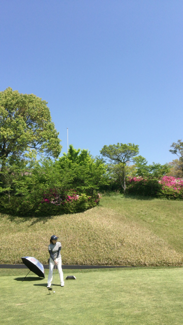 f0085810_15414089.png