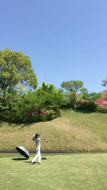 f0085810_15414091.png