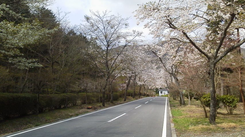 e0348420_04500942.jpg