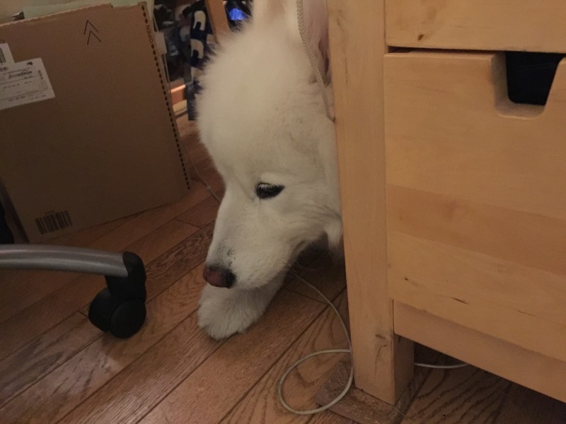 f0234023_07404575.jpeg