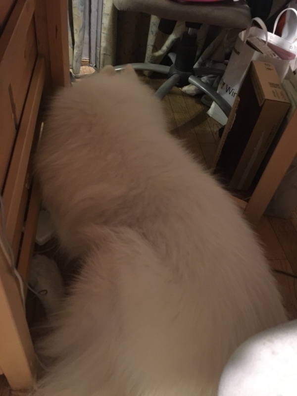 f0234023_07410258.jpeg