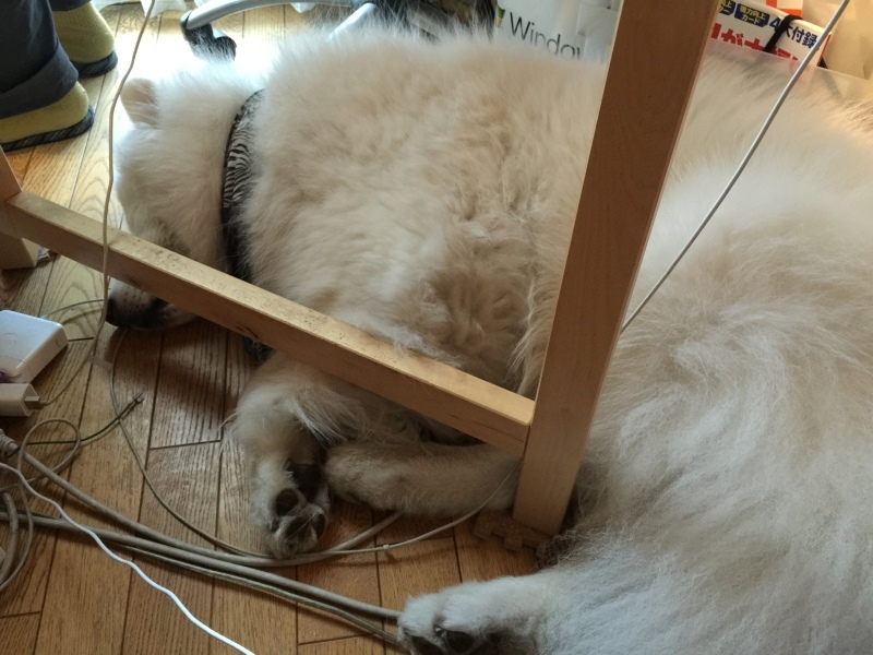 f0234023_07413490.jpeg