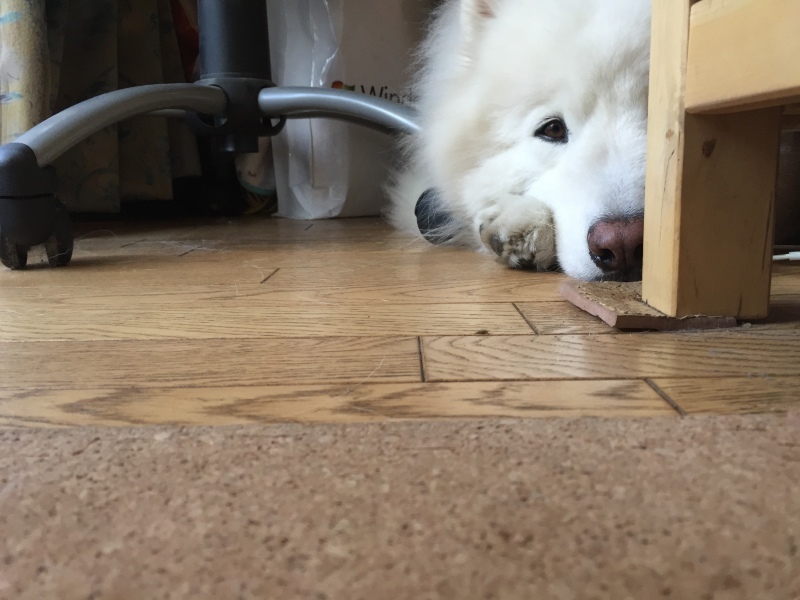 f0234023_07414978.jpeg