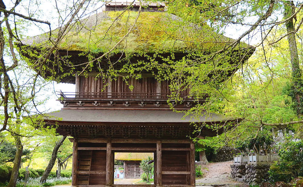 新緑の古式ゆかしき広徳寺_f0045844_7134645.jpg